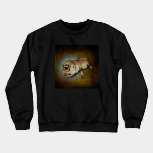 FUTURE HUMAN. Crewneck Sweatshirt